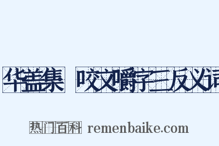 华盖集·咬文嚼字三反义词是什么意思的图片